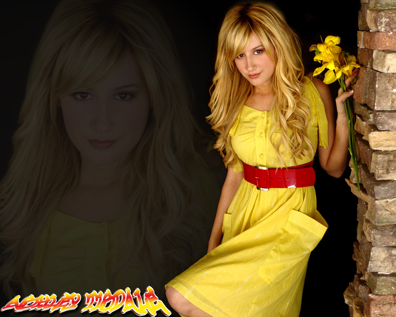 Ashley-Tisdale-disney-channel-528908_1280_1024.jpg